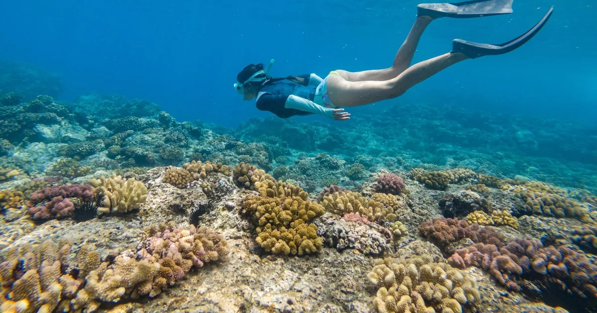 Desde Fajardo: Excursión en barco todo incluido y snorkel en Culebra