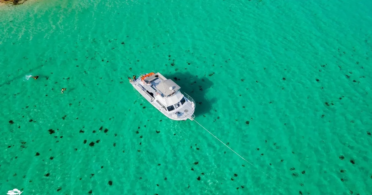 Fajardo: Tour guiado de snorkel en barco a la isla de Culebra